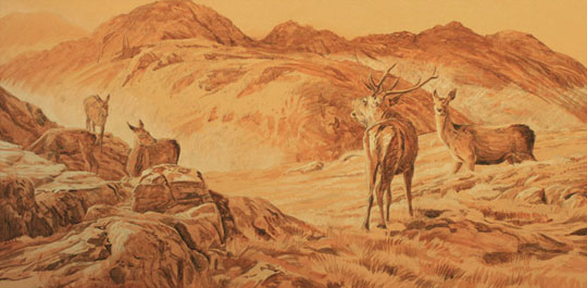 Wildlife paintings in progress